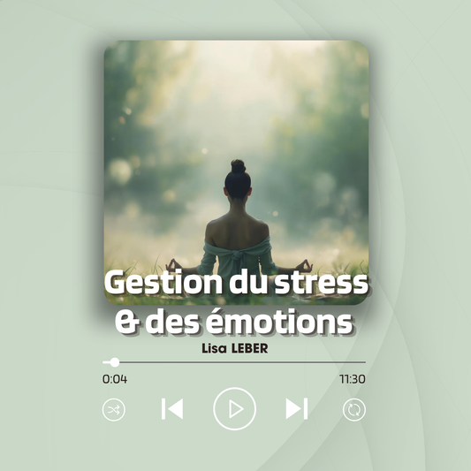 Visuel d'illustration de format audio intitulé Gestion du stress & des émotions par Lisa LEBER, montrant une femme assise de dos en position de méditation au cœur d'une forêt calme et lumineuse.